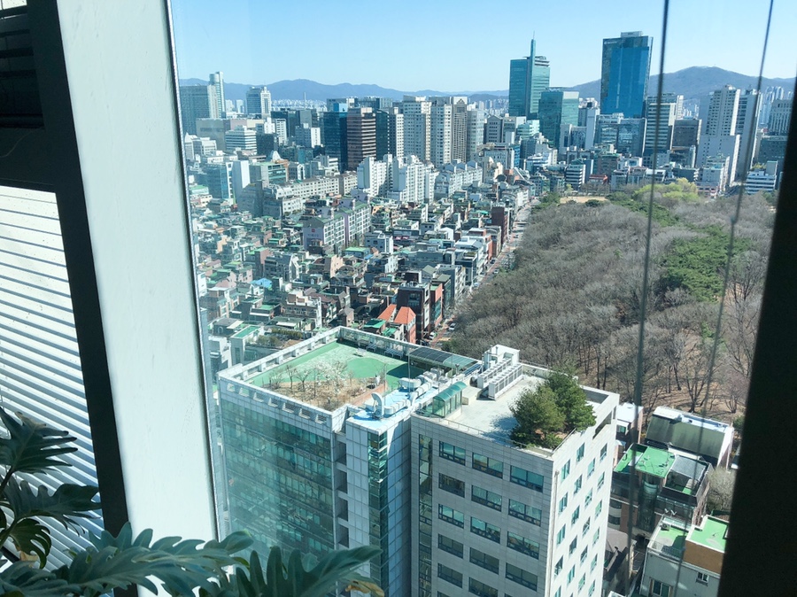 티컬렉티브 이미지
