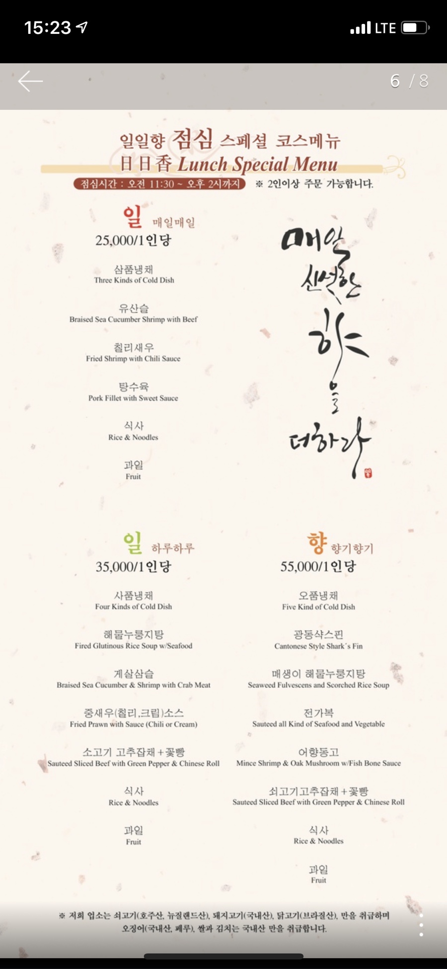 일일향 이미지
