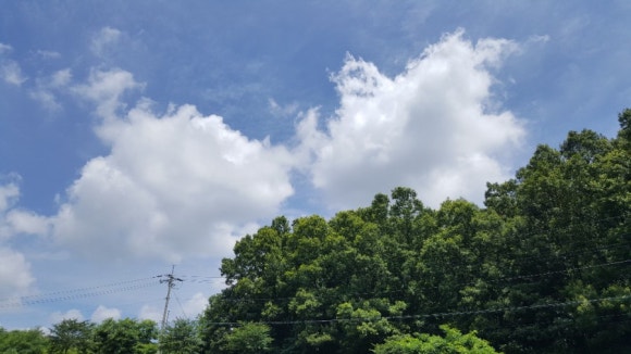 (주)상수허브랜드 이미지