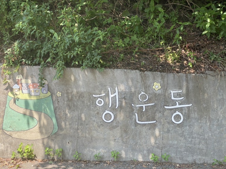 니어바이솝 이미지