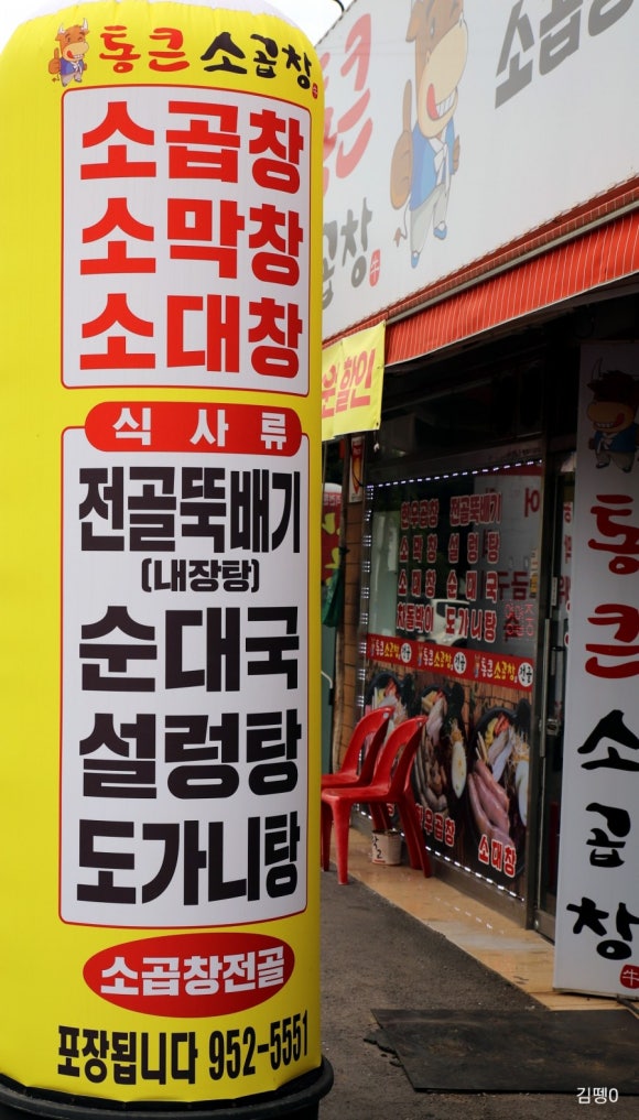 통큰딱따구리 이미지