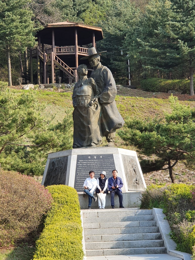 금봉노래 이미지