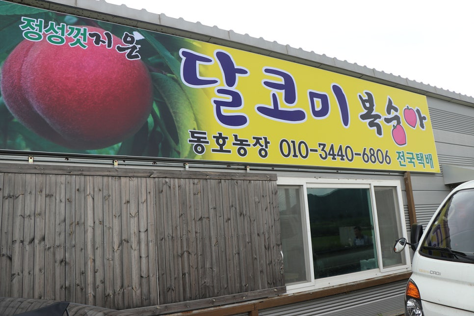 동호농장달코미복숭아 이미지