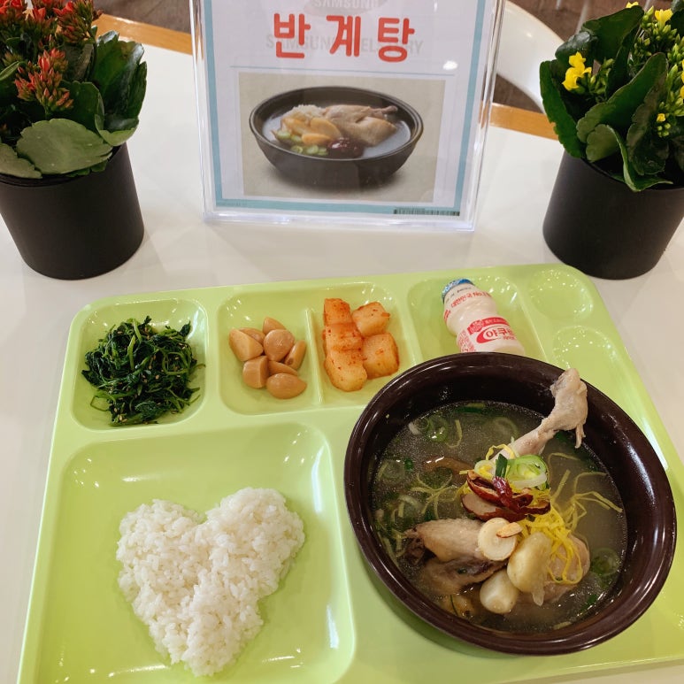 [단체급식 초복/중복/말복 메뉴] 복날 삼계탕,반계탕,장각탕 레시피 공유드려용 ♥ : 네이버 블로그