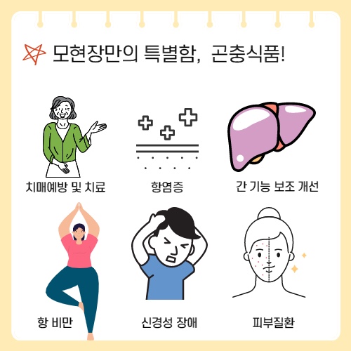 팜스밀 이미지