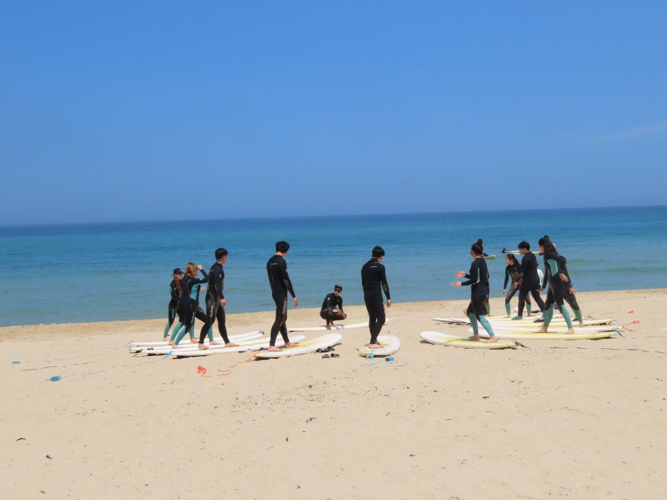 청시행비치 이미지