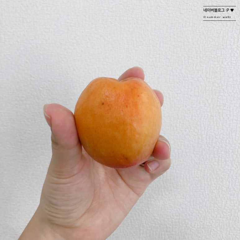 후르츠바스켓바이두번째부엌 이미지