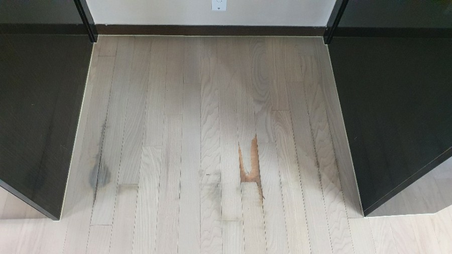 금강파크 이미지