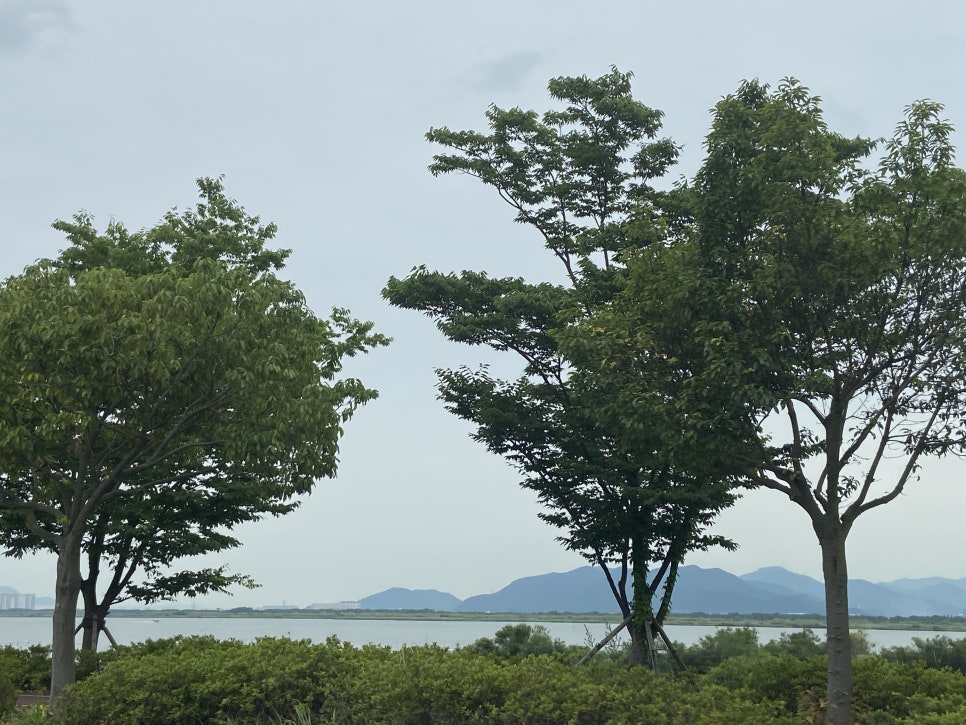 삼희에프앤비 이미지