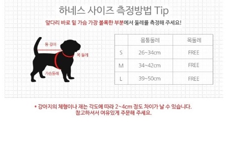 이지도그 이미지