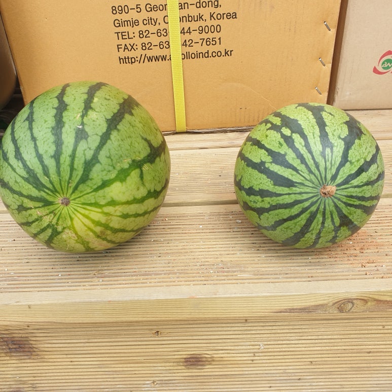 (주)꼬망스 이미지