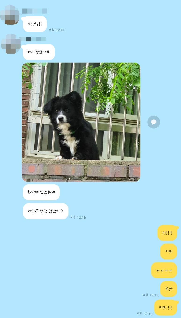 베리커뮤니케이션 이미지