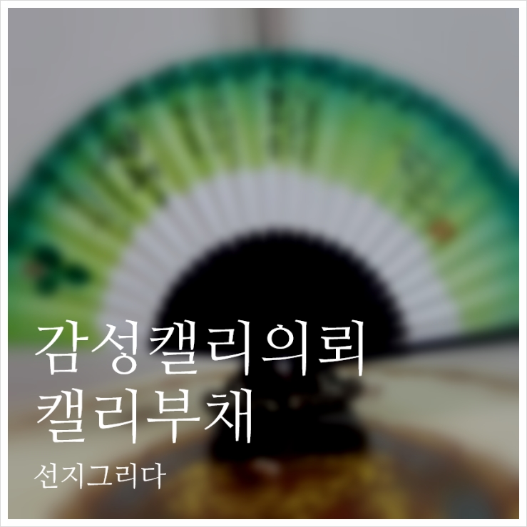 선지그리다 이미지