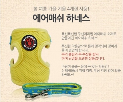 이지도그 이미지