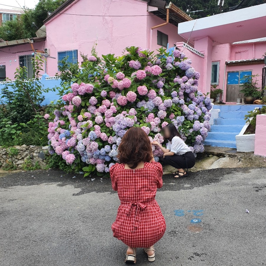 관음떡집 이미지