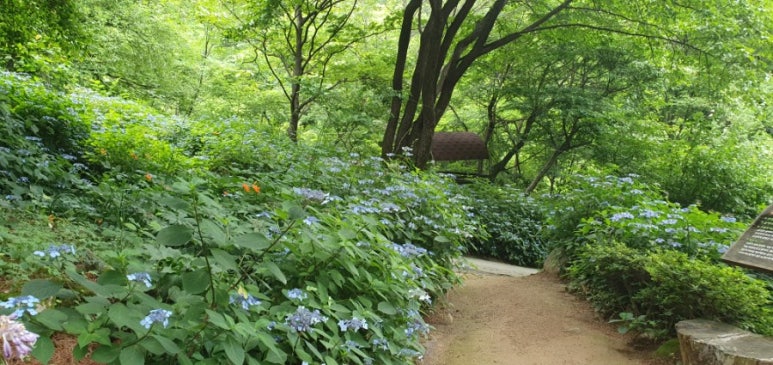 숲속분재원 이미지