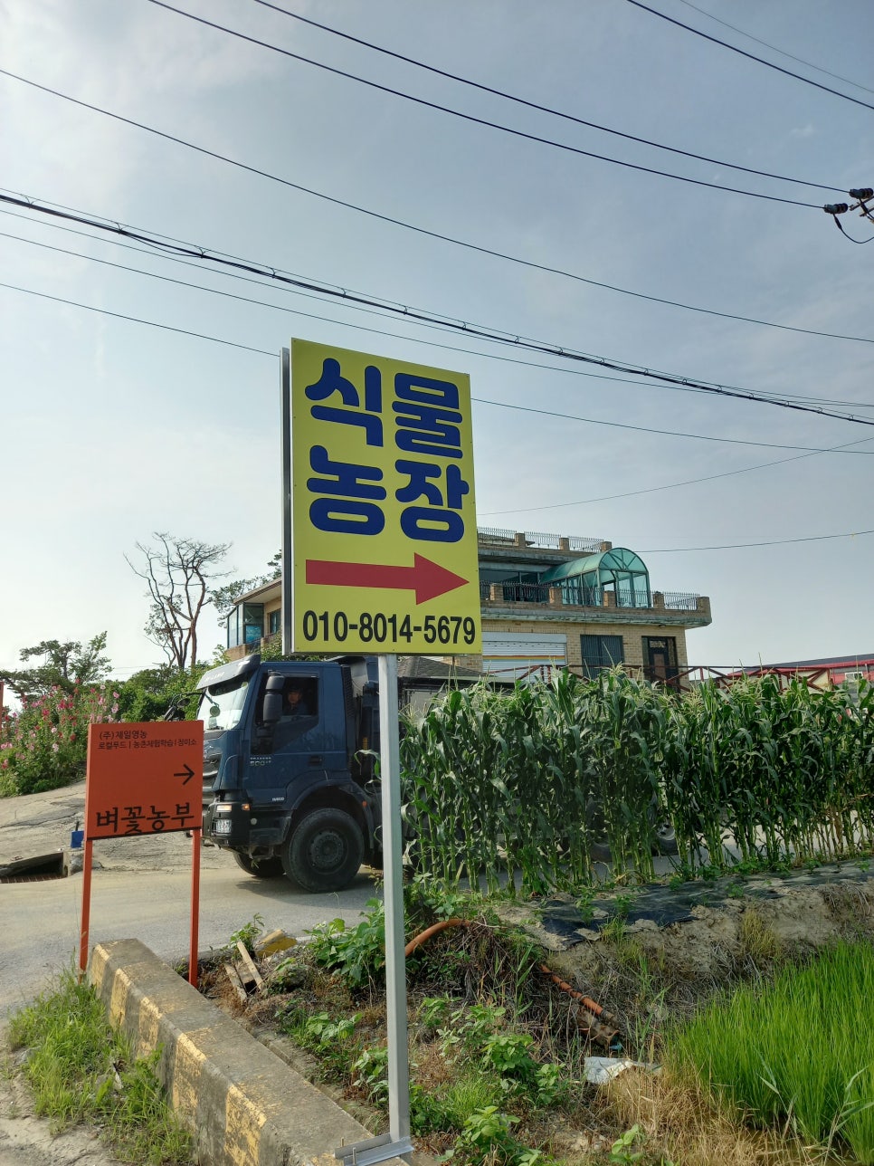 식물농장 이미지