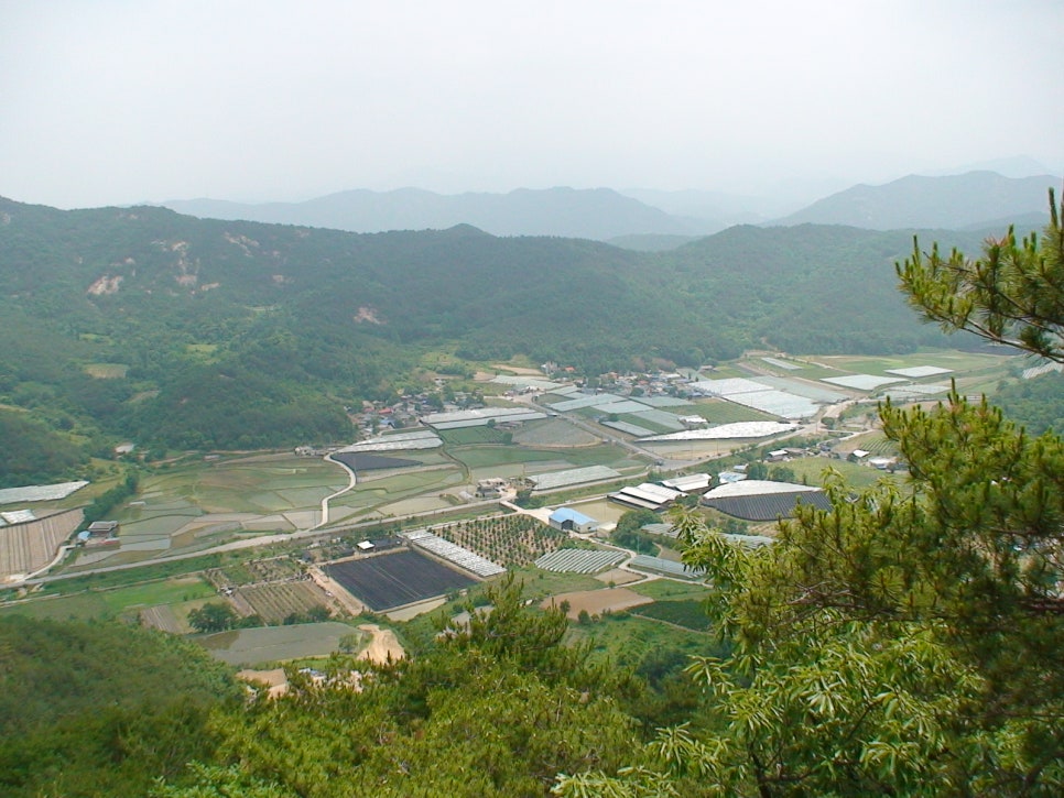 영동금강모치마을 이미지