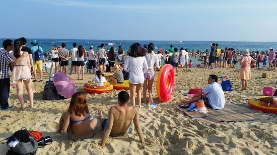 원산도민박숙박 이미지