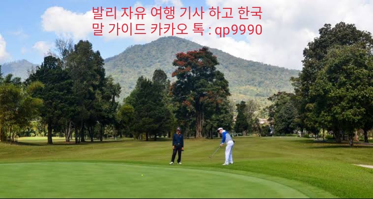 두아골프 이미지