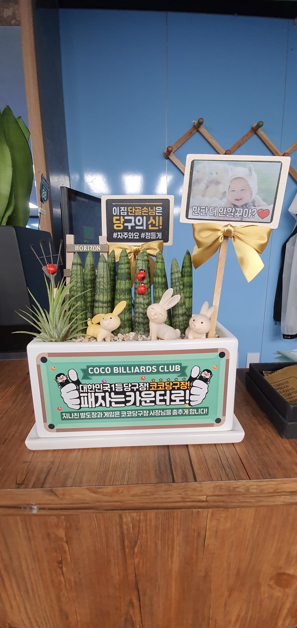 보고당구장 이미지
