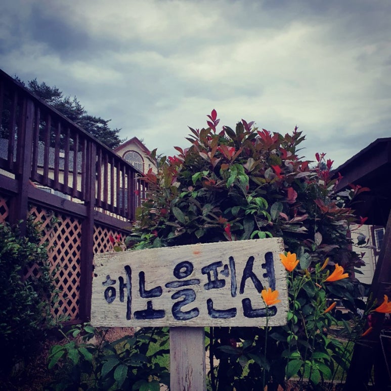 해노을 이미지