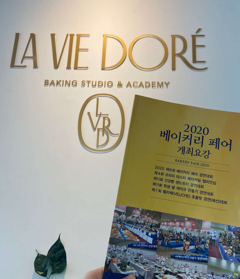 라비도레 이미지