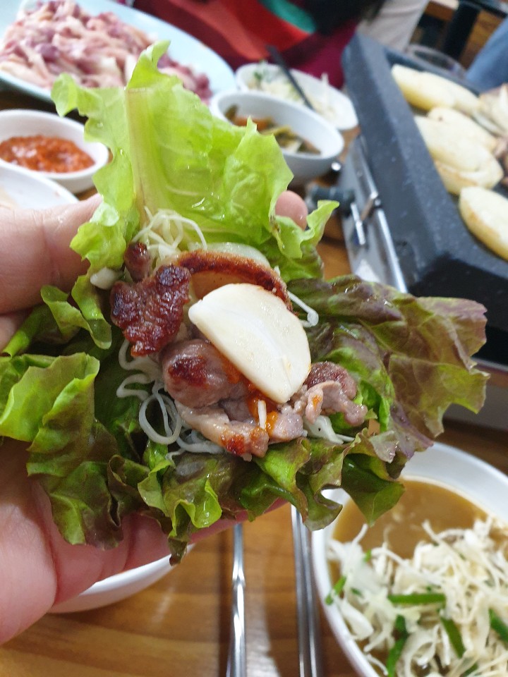 오리와도야지 이미지