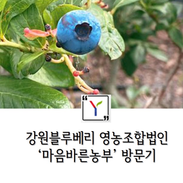 마음바른농부 영농조합법인 이미지