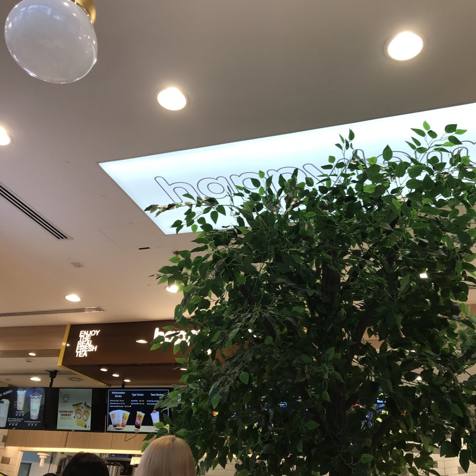 인바이먼트 이미지