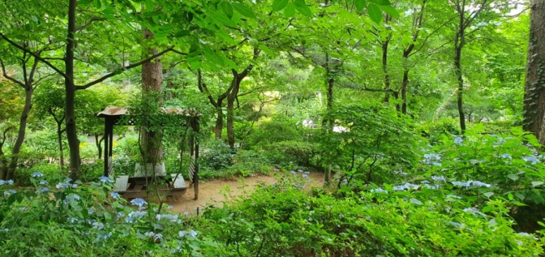 숲속분재원 이미지