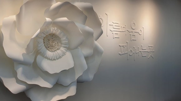 디하문바이공주 이미지