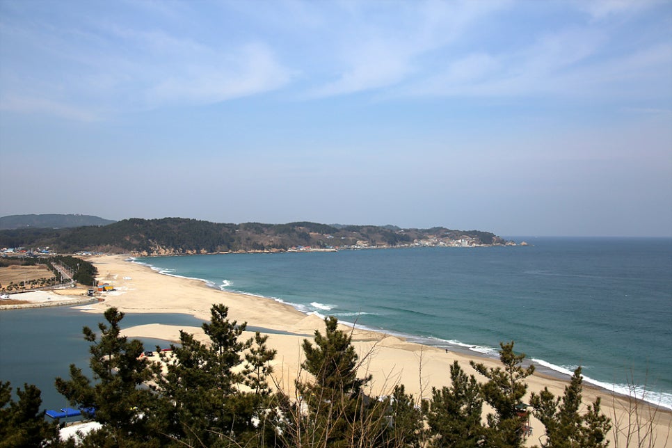 강구대게횟집 이미지