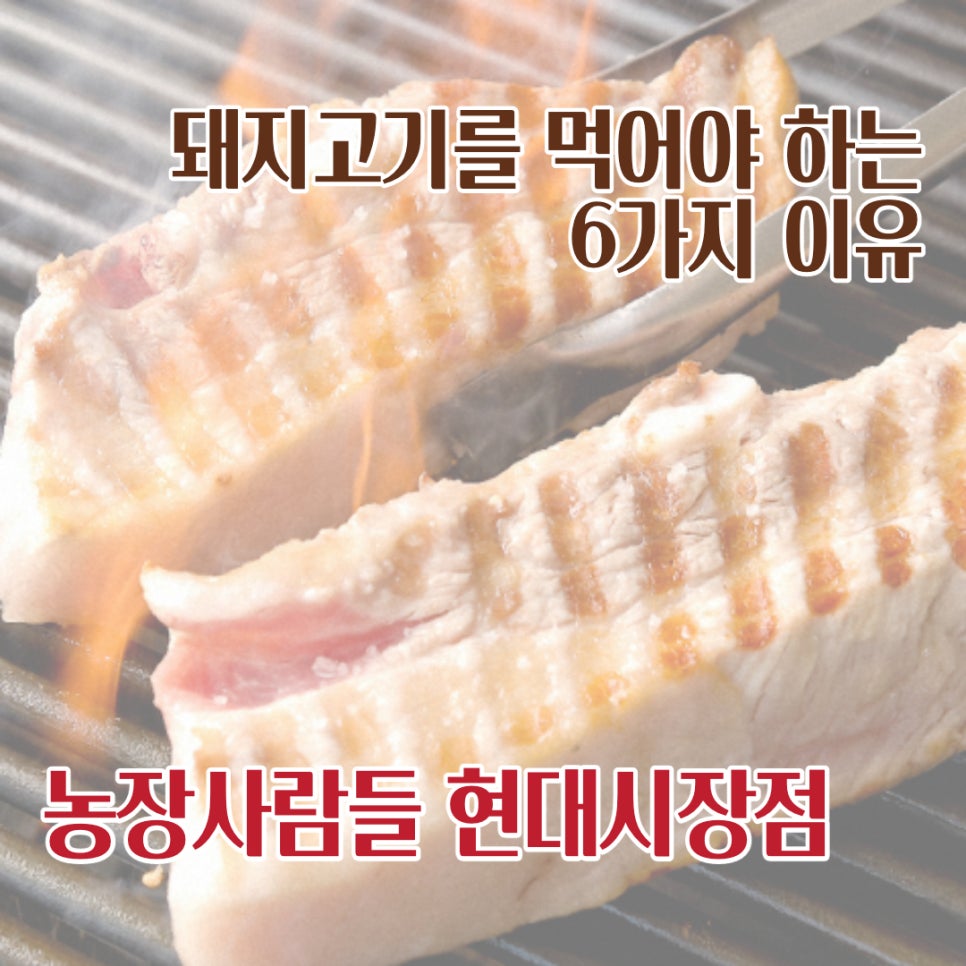 현대농장정육점 이미지