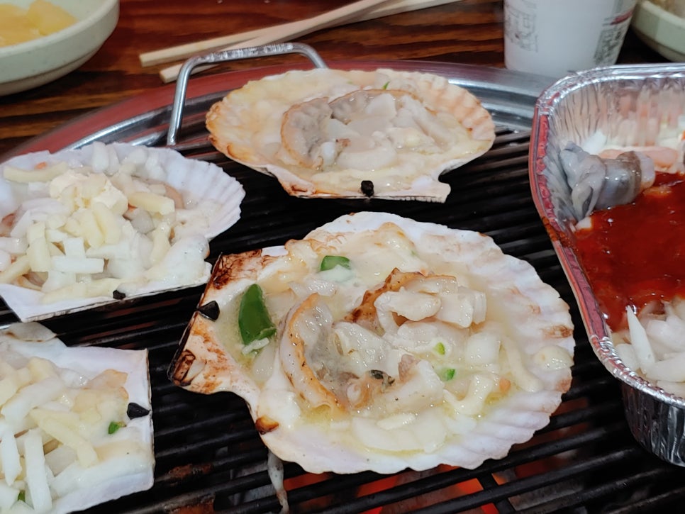 용궁조개 이미지