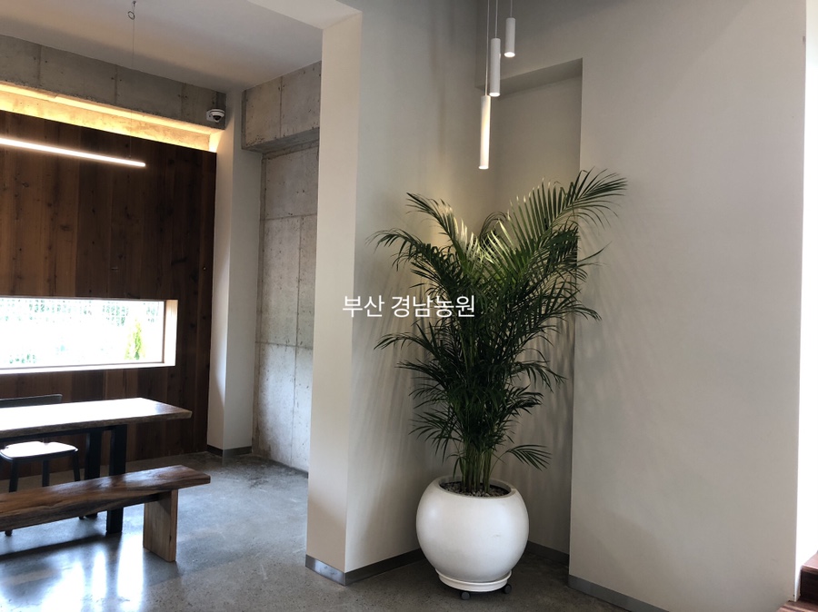 애란농원 이미지