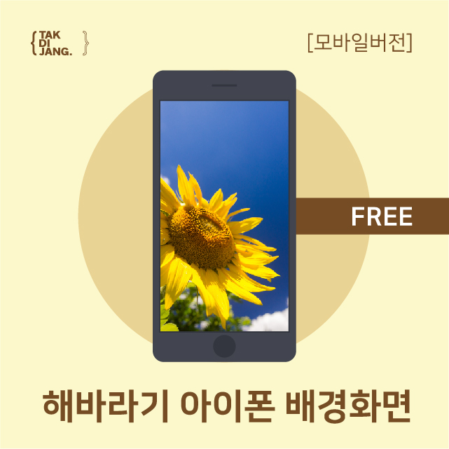 해바라기모바일 이미지