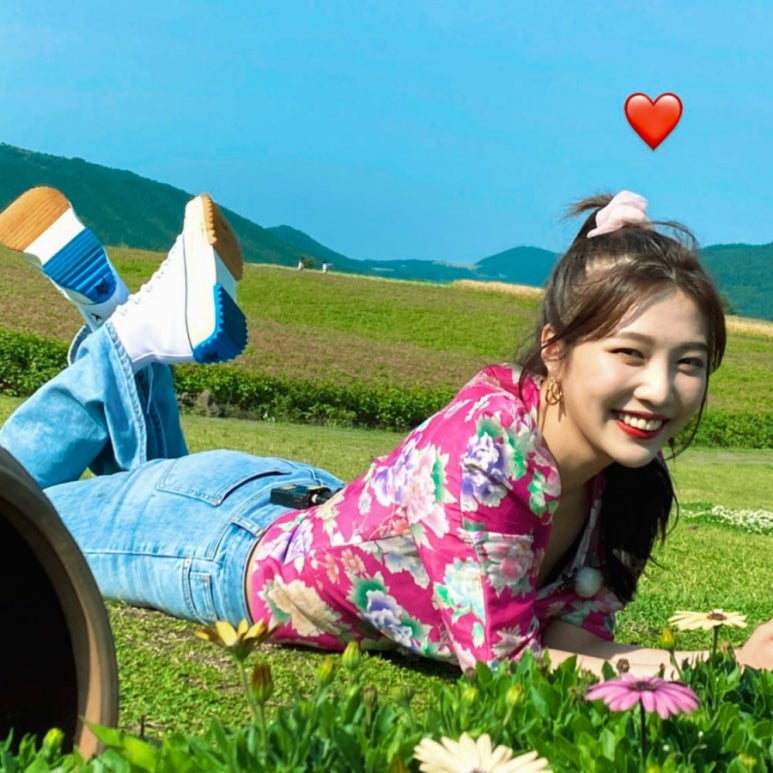 조이플라워 이미지