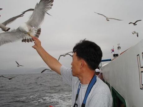 원산도민박숙박 이미지