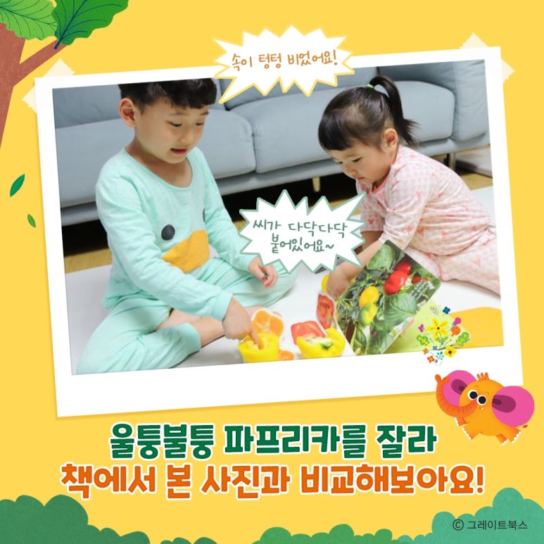 해바라기과일 이미지