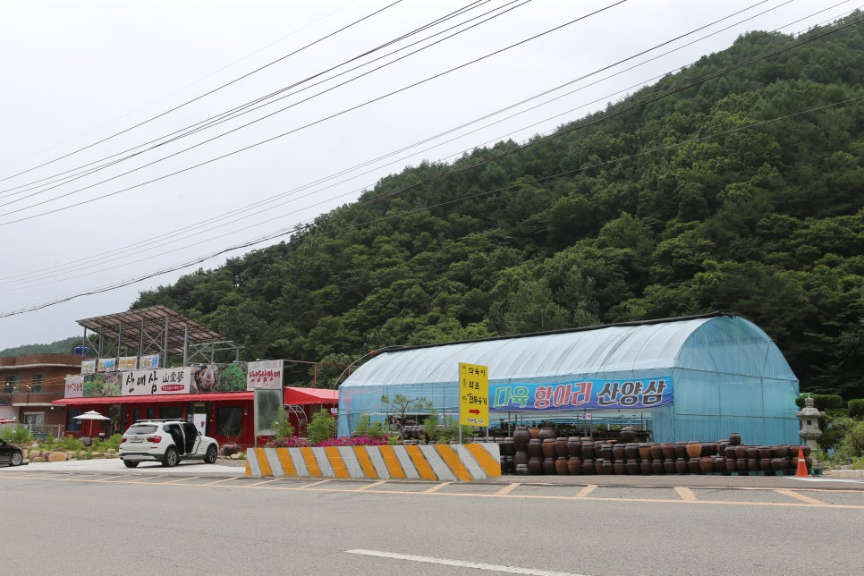 해인사충전소 이미지
