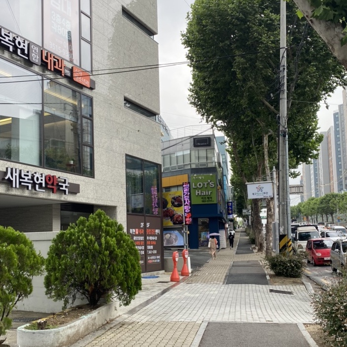 라츠헤어 이미지