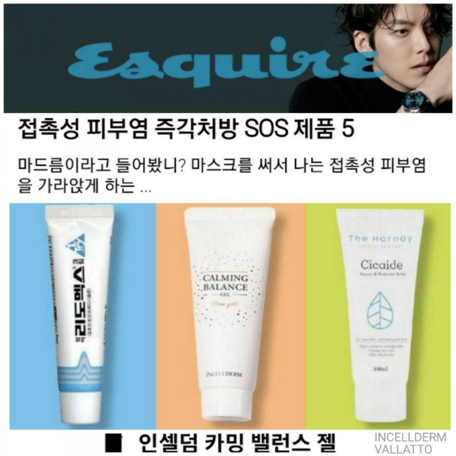 세계로 인셀덤 이미지
