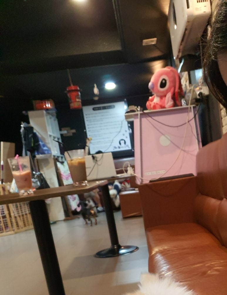 개랑 놀아주는 남자 이미지