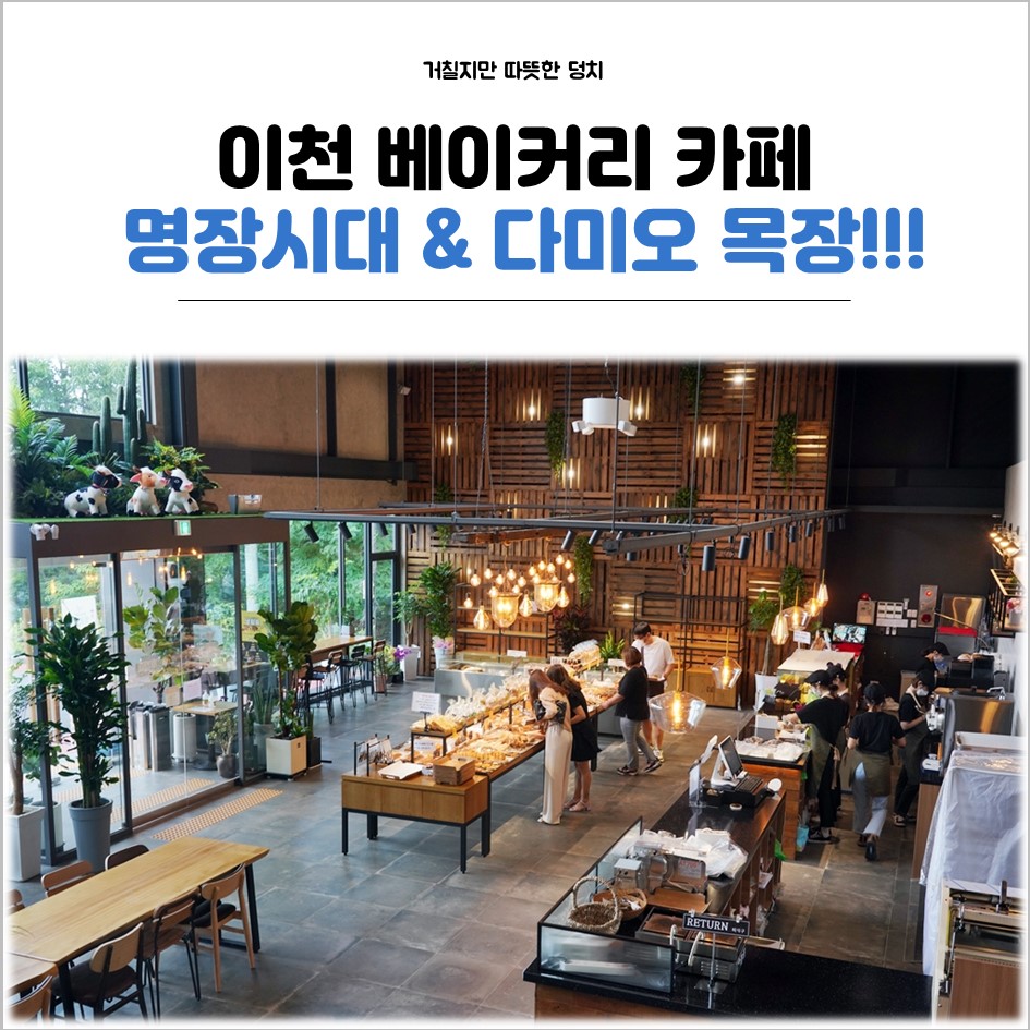 다미오목장 이미지