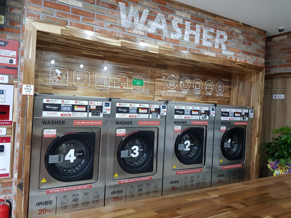 워시테리아충주 이미지