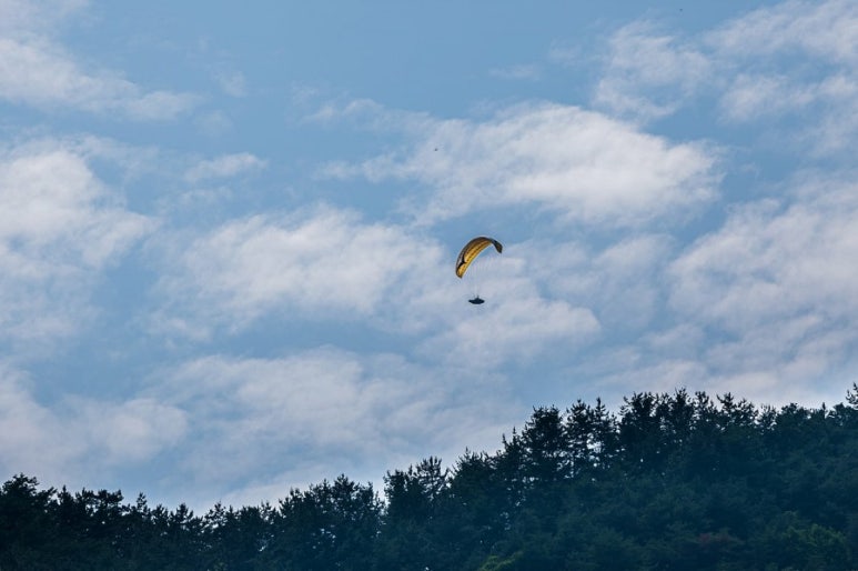 지리산꽃다연 이미지