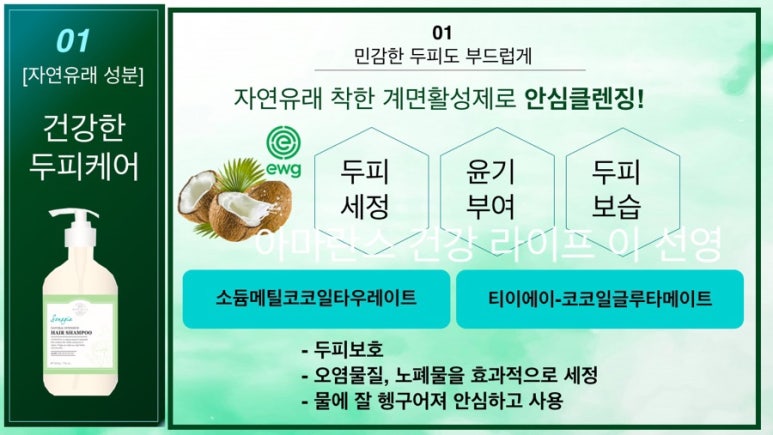 소노지아 이미지