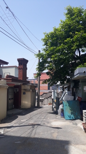 신한장 이미지