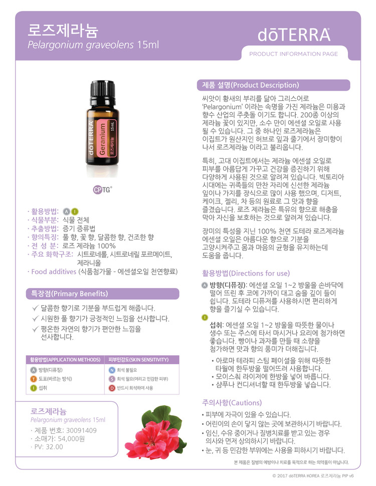 로즈살롱 이미지